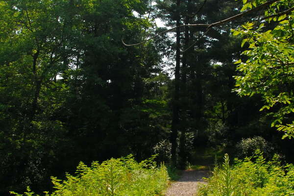 Found a few well maintained trails near the ponds