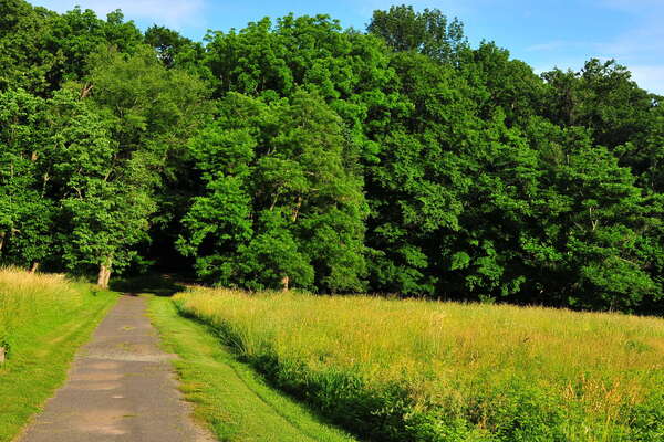Frelinghuysen Arboretum - June 16th 2014