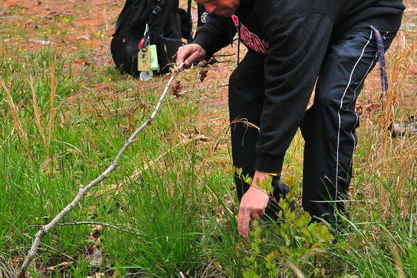 Over the stream Hole 3