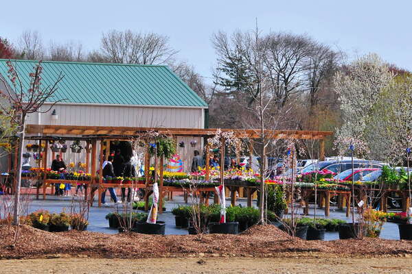 Oasis Family Farm, Easter Egg Hunt Weekend