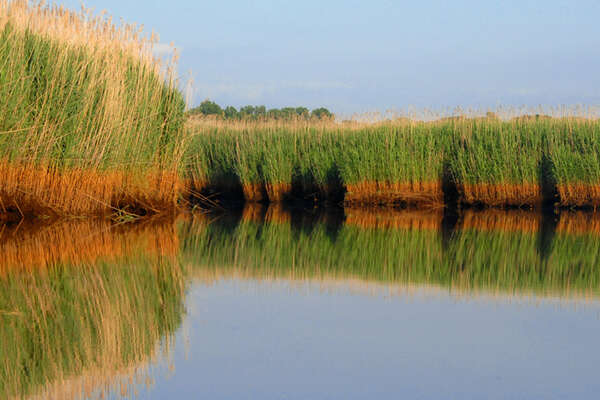 080624-168-manasquan-wildlife-area.jpg