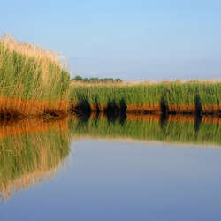 Manasquan River Wildlife Management Area (WMA)