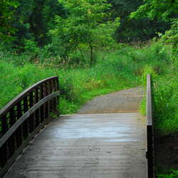 A short bike ride in Michael J. Tighe Park (2009) - 06/18/2019