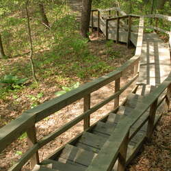 Photos of: Cheesequake State Park (2008) - 04/25/2012