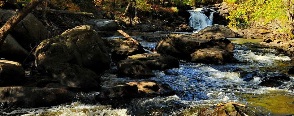 Visit our Parks and Garden search for your next adventure!