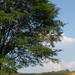 Unauthorized Trail Building at High Point State Park (via JORBA)