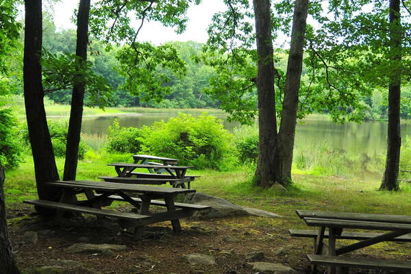 Picnicing next to the pond