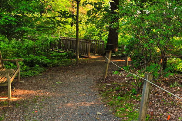Frelinghuysen Arboretum - June 16th 2014