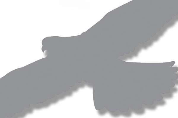 Conserve Wildlife Foundation of NJ