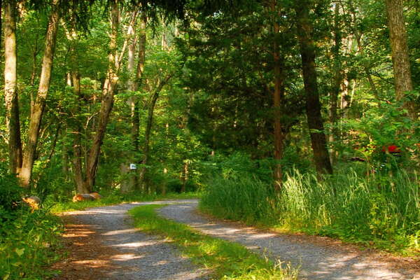 Entrance road to the parking lot off Great Rd