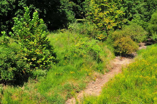Scenic ride on the Black River and Western Railroad