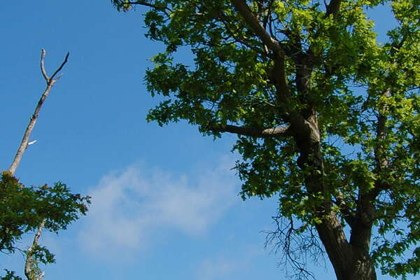 Great place for a break