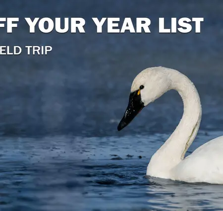 Kick Off Your Year List