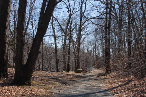 Walking path down river
