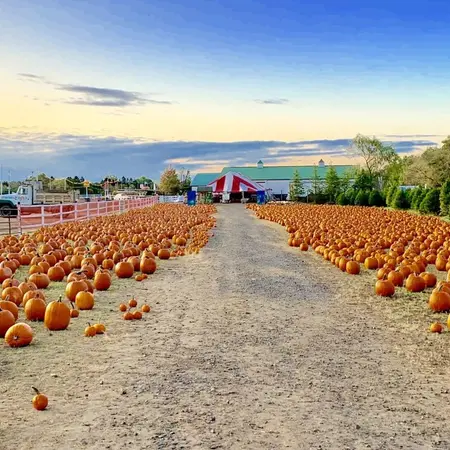 A. Casola Farms