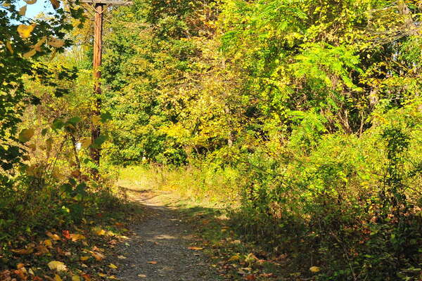 Small path on east side of river