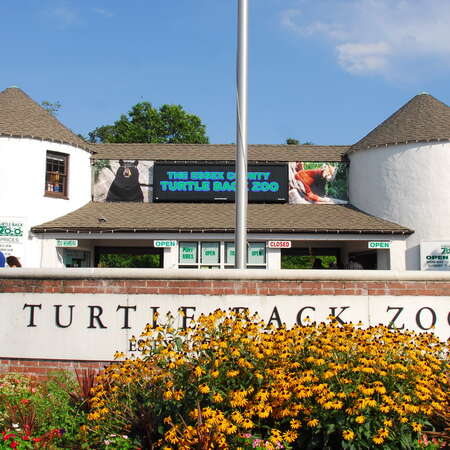 The Treetop Adventure Aerial Obstacle Course is now open at the Turtle Back Zoo