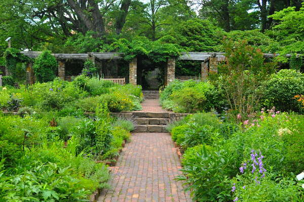 Cross Estate Gardens, 2018