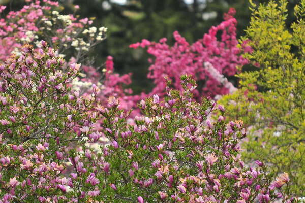 Up the hill, into the woods Hole 4