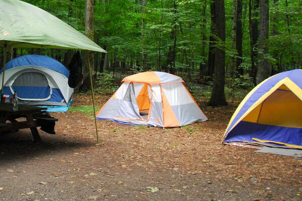 Dingmans Campground