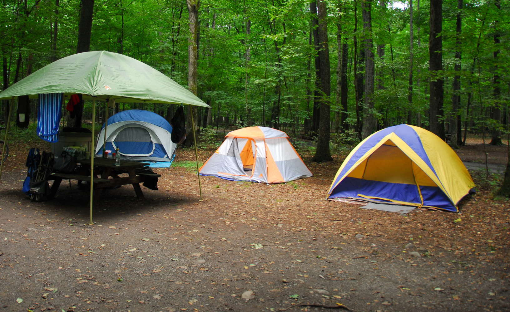 All Campgrounds And Rv Parks Near New Jersey