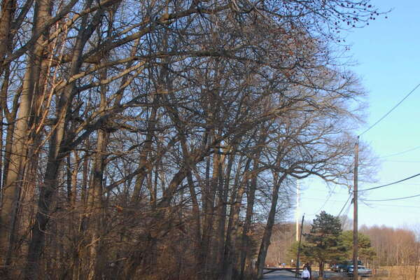 Davidson's Mill Pond