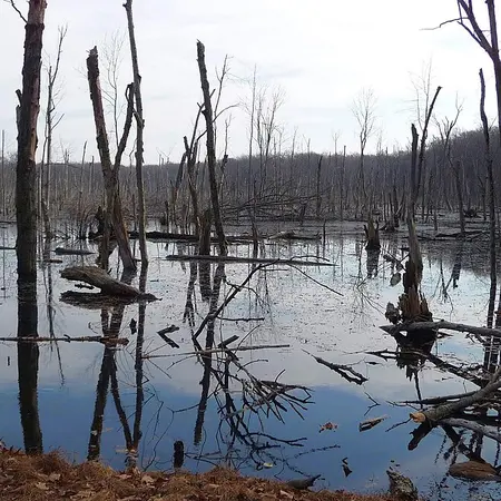 Farny State Park