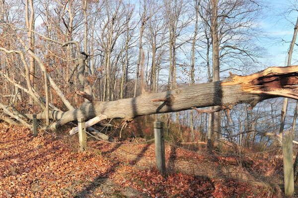 We lost a big one here 2