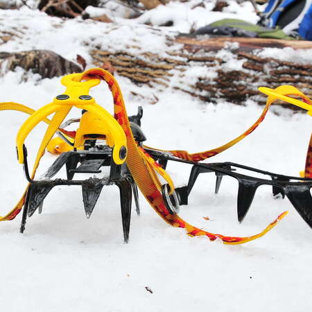 Northeast Mountain Guiding