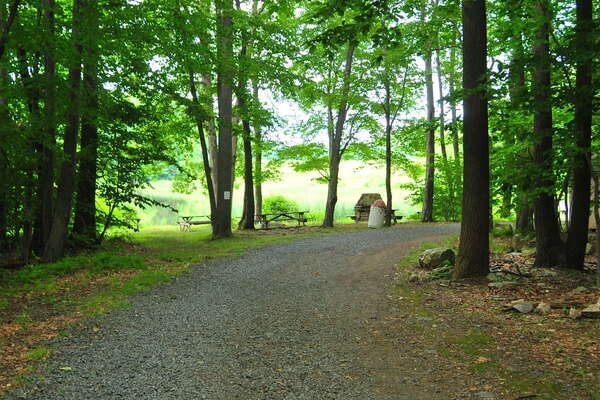 Walking towards the pond