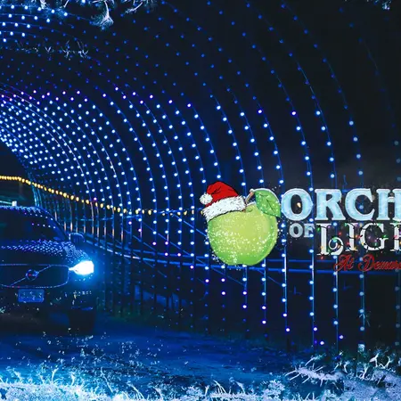Orchard of Lights Opens at Demarest Farms