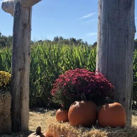 The Red Barn Farm