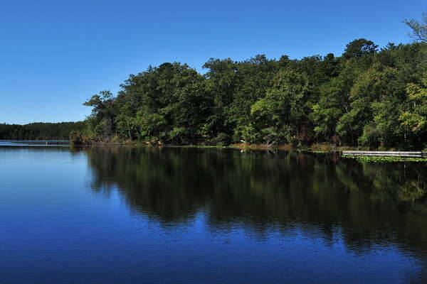 Wells Mills County Park