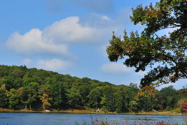 Hiking Allamuchy
