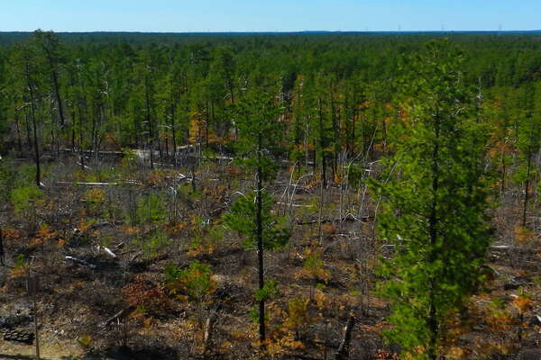 Jakes Branch County Park