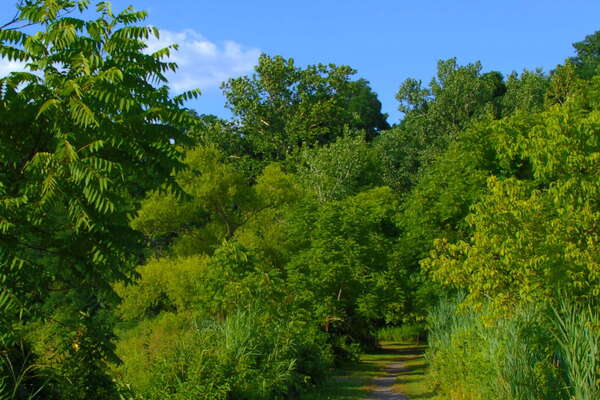 John A. Roebling Park