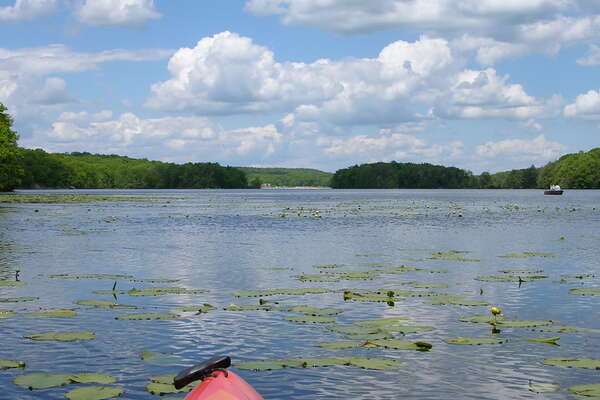 Wawayanda State Park