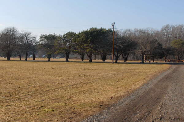 Davidson's Mill Pond