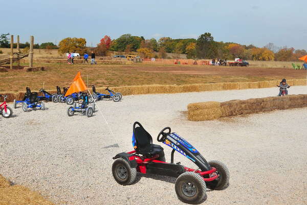 Snyders Farm Fall Festival - 2015