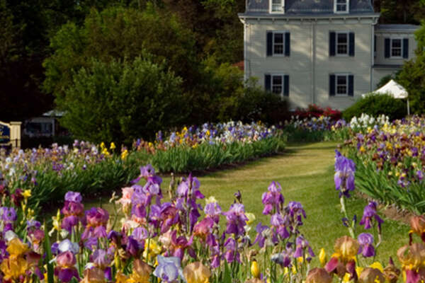 Presby Memorial Iris Gardens