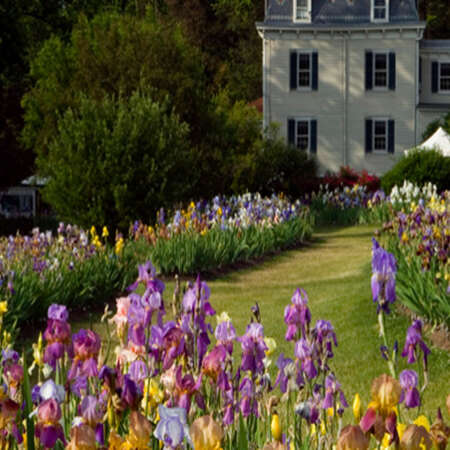 Presby Memorial Iris Gardens