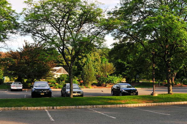 Frelinghuysen Arboretum - June 16th 2014