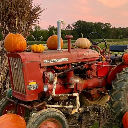 Stone Tavern Orchards