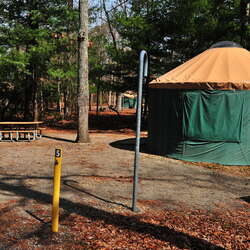 A quick visit to Belleplain State Forest (March, 2015) - 07/19/2018