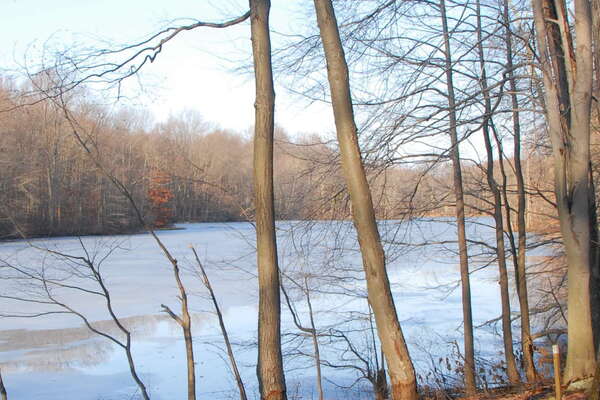 Davidson's Mill Pond