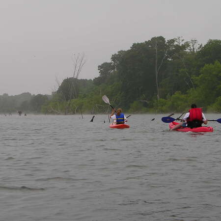 A foggy paddle at the Manasquan Reservoir, 2005 - 05/02/2014