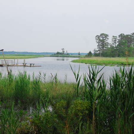 Photos Of: Estell Manor Park - The rivers - 06/26/2009