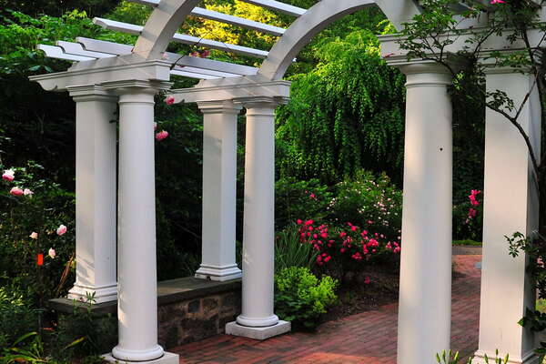 Frelinghuysen Arboretum - June 16th 2014