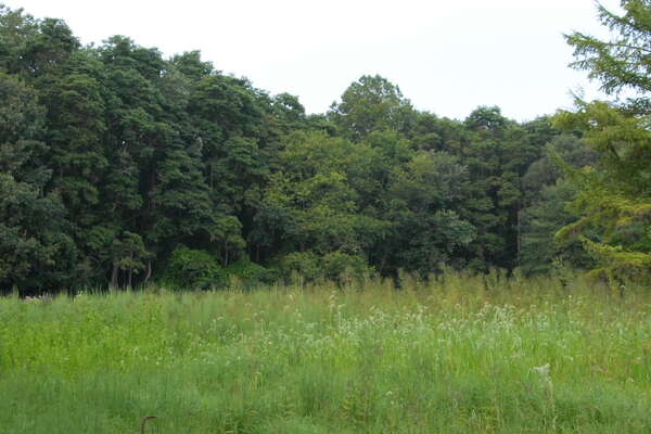 Great Swamp Outdoor Education Center