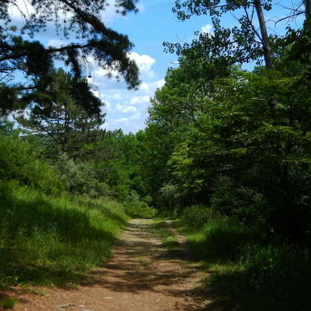 Photos of: Round Valley Recreation Area -- Trails - 04/12/2012